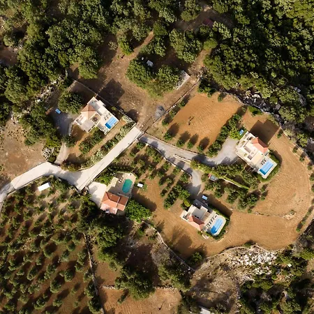 Ellotia & Asterion By Forest Rethymno