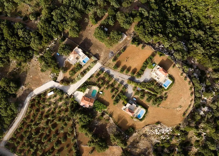 Ellotia & Asterion By Forest Rethymno