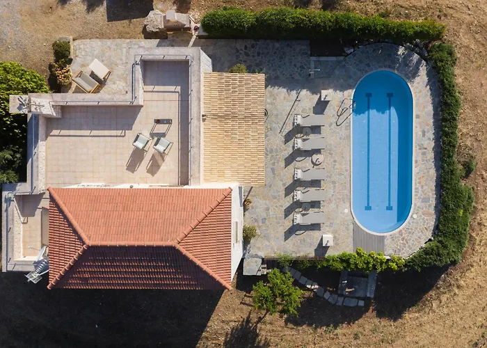 Ellotia & Asterion By Forest