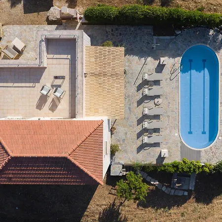 Ellotia & Asterion By Forest